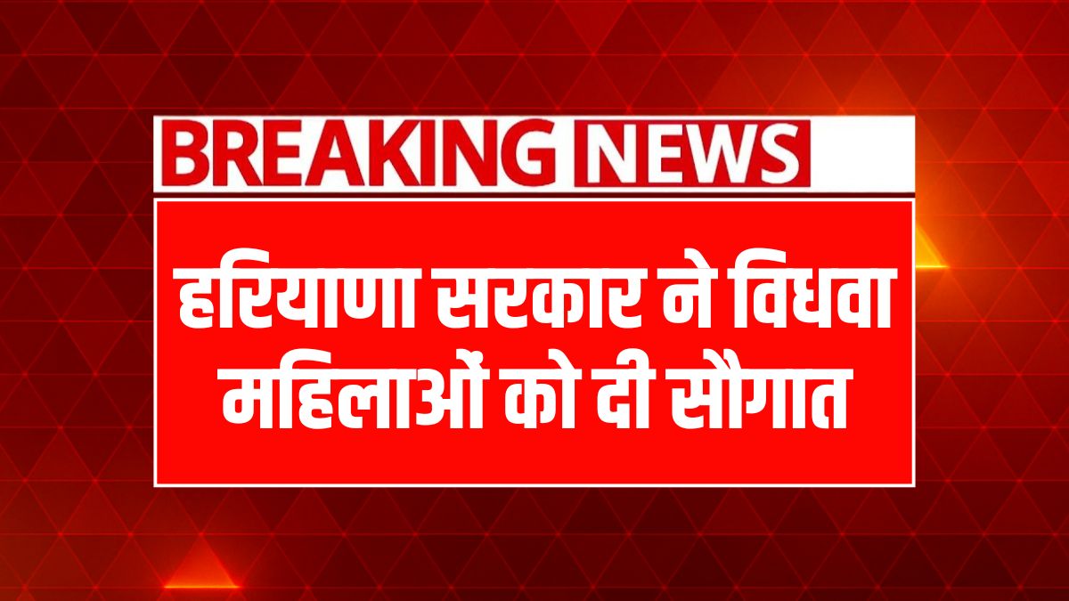 Haryana widow loan scheme