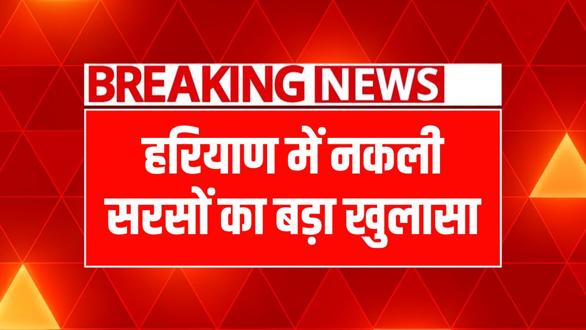 Rewari fake mustard