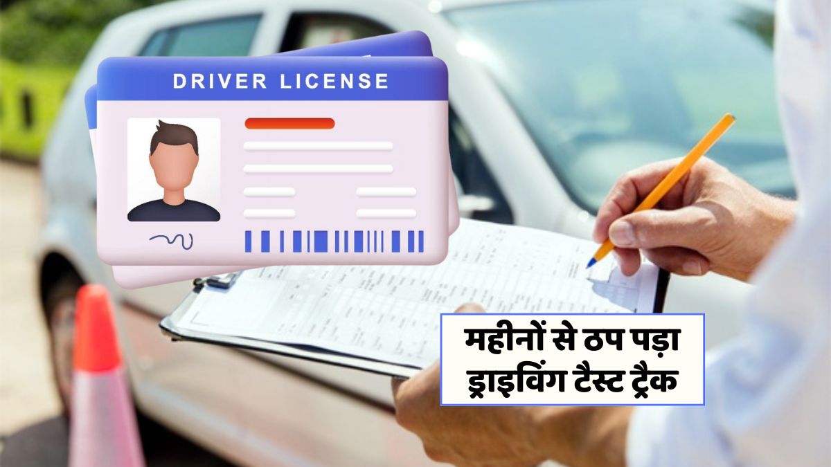 Driving License