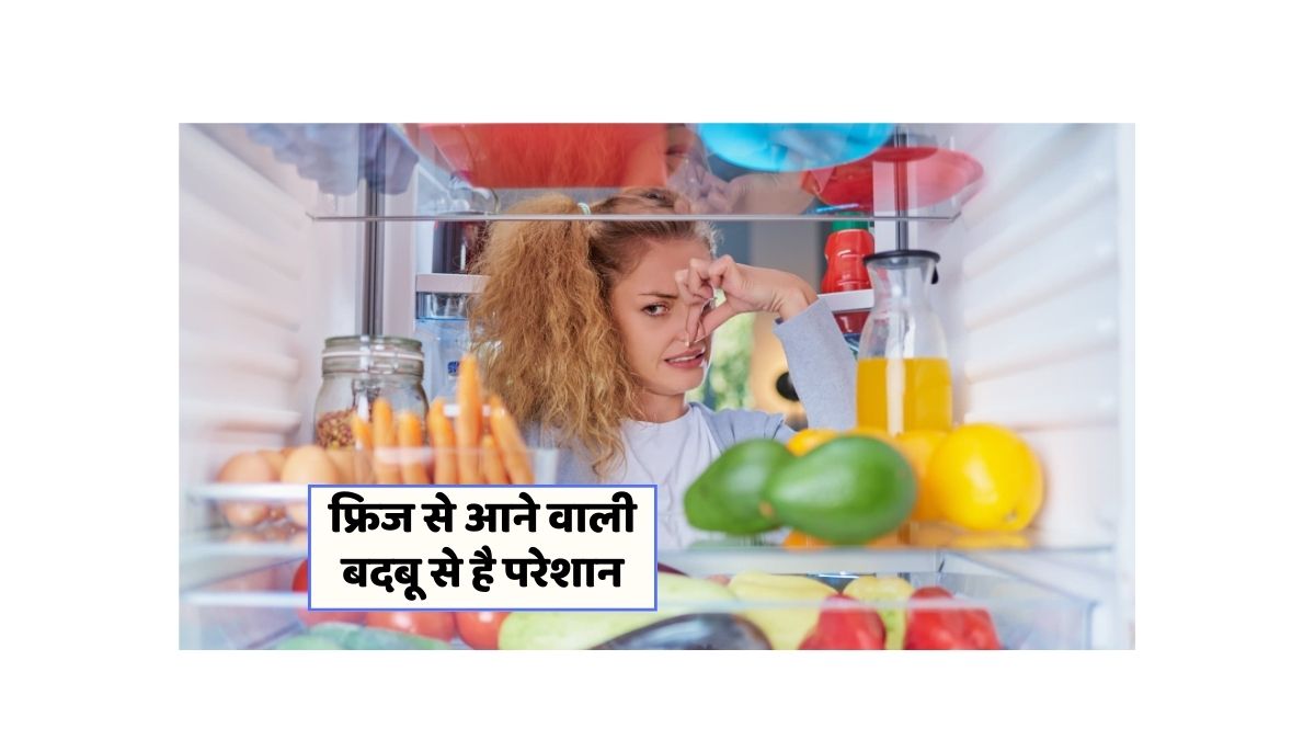 Fridge Smell Solution