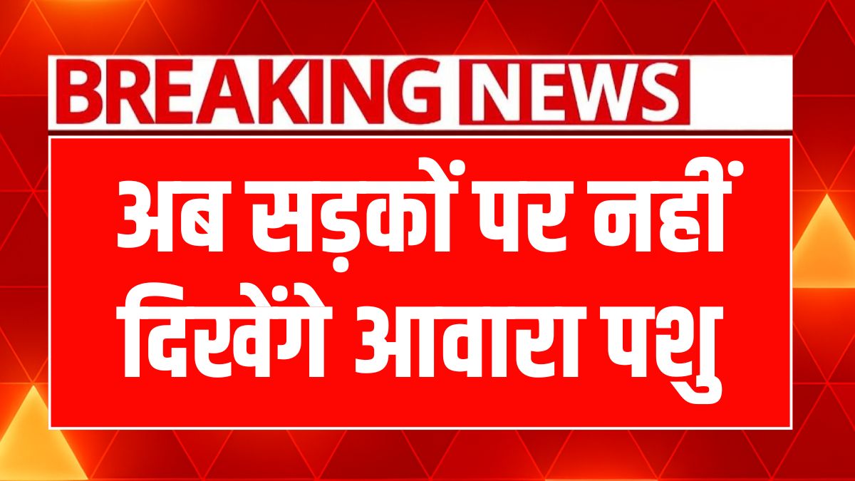 Haryana Stray Animal Rules