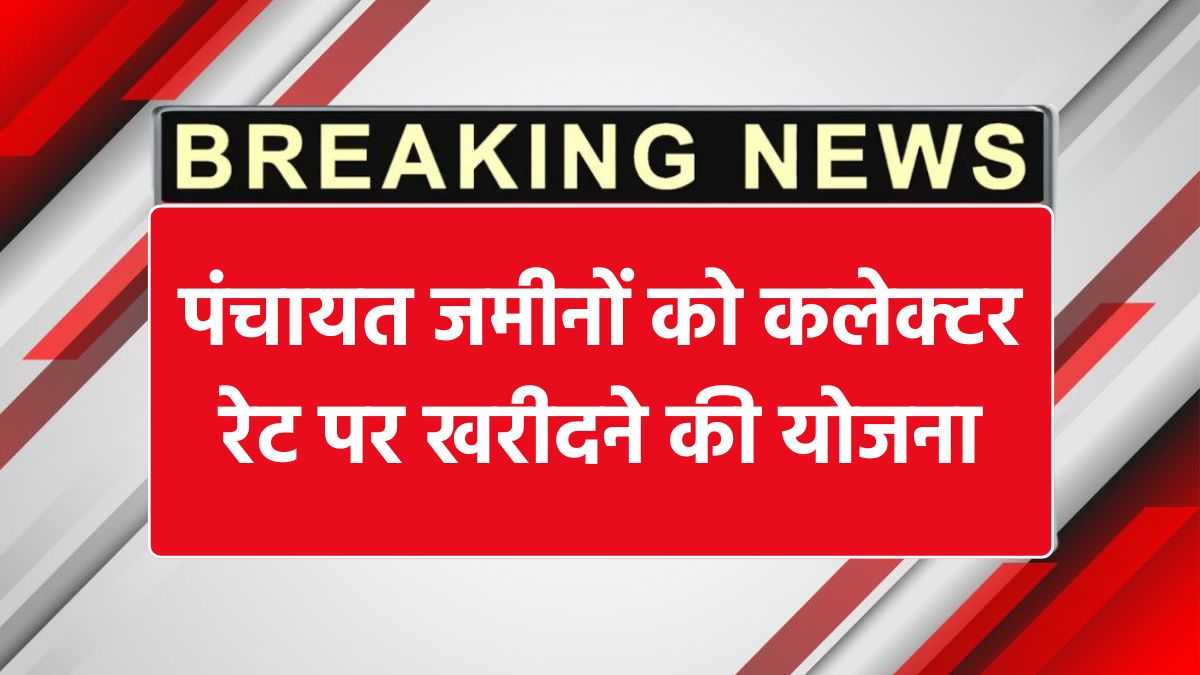 Panchayat Lands Ownership