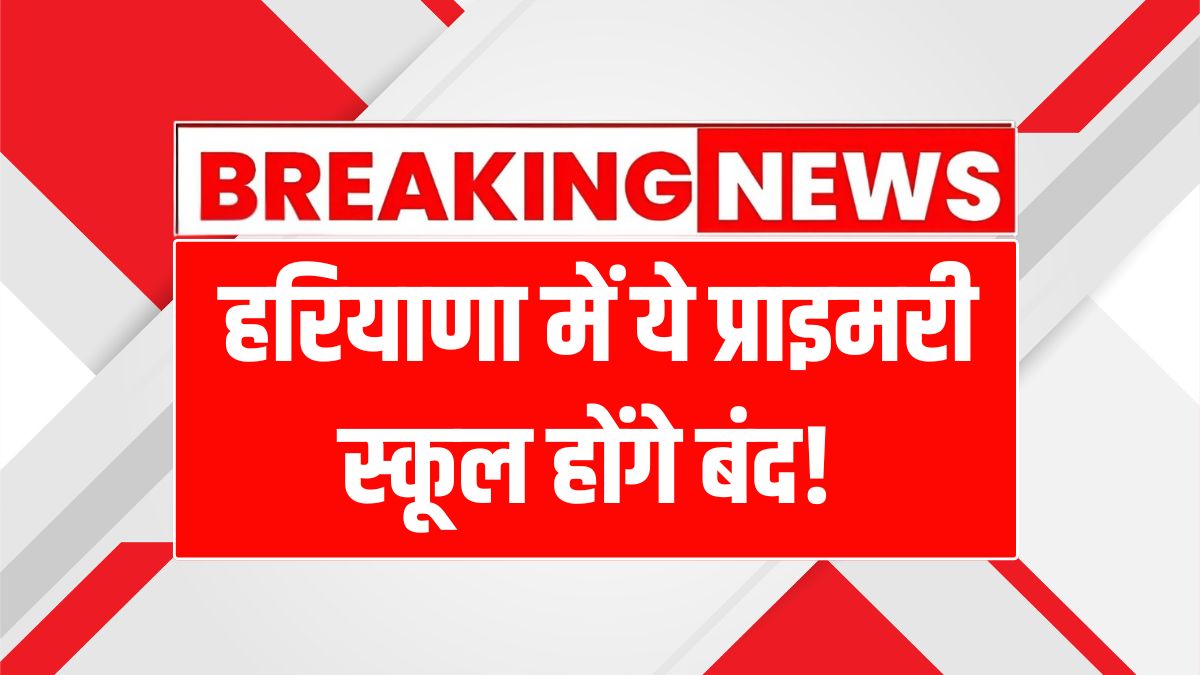 Primary School Merger