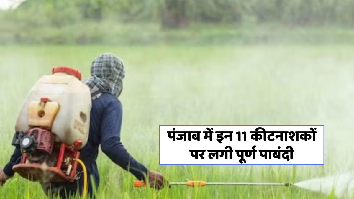 11 Pesticides Banned