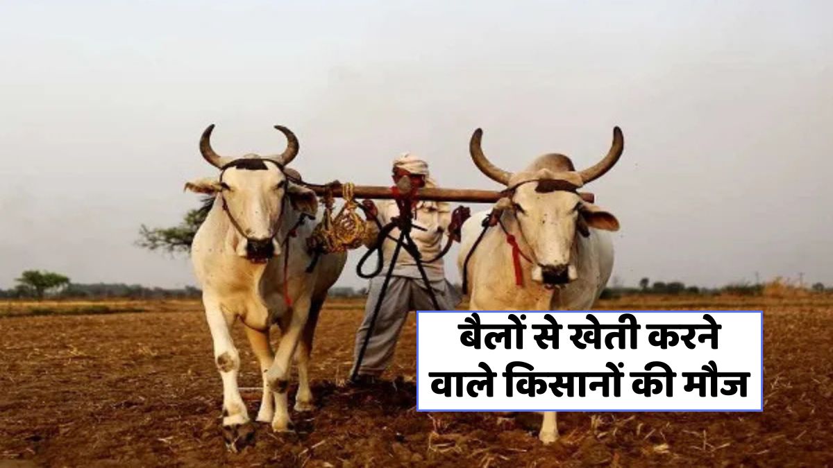 Bail Jodi Anudan Yojana