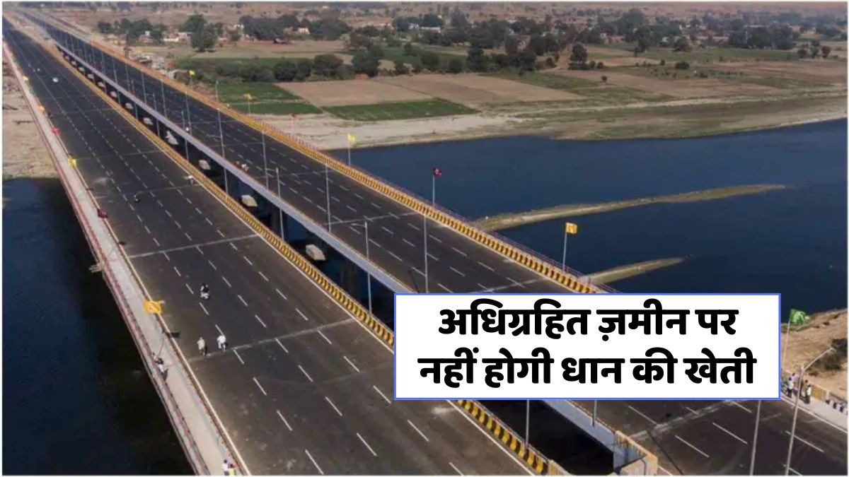 Expressway New Letter Issued