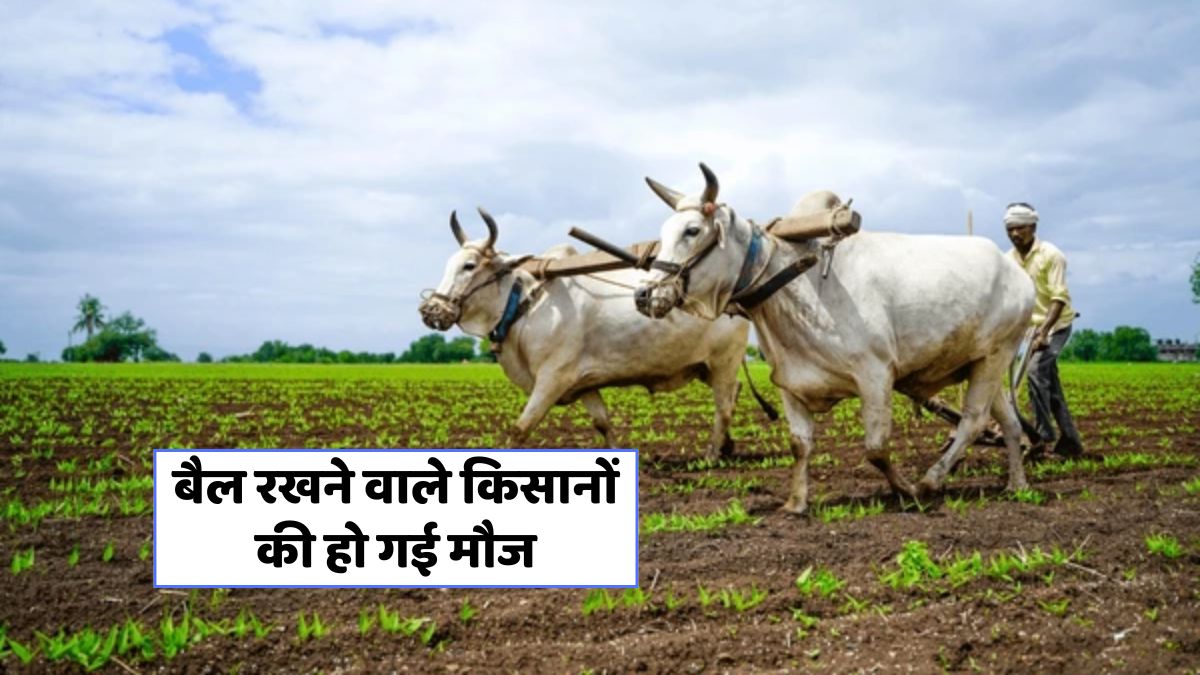 Farmer Subsidy Scheme