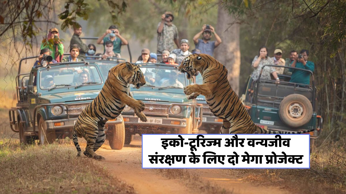 Haryana Jungle Safari