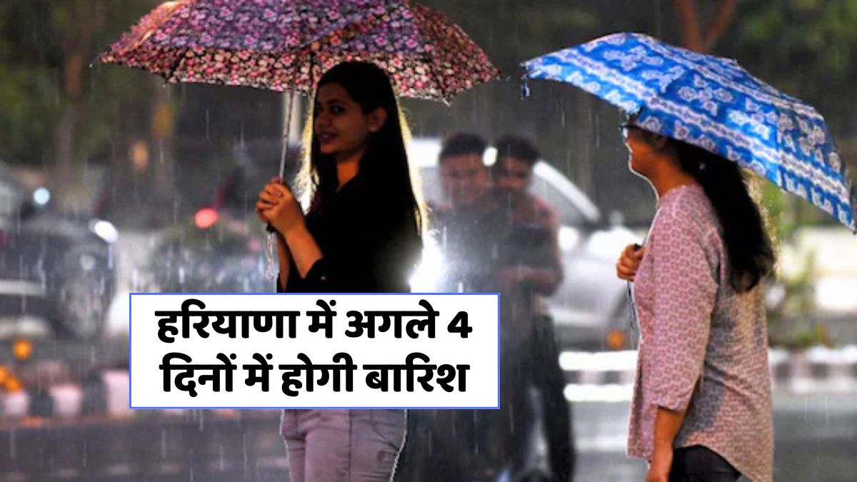 Haryana Monsoon 2025