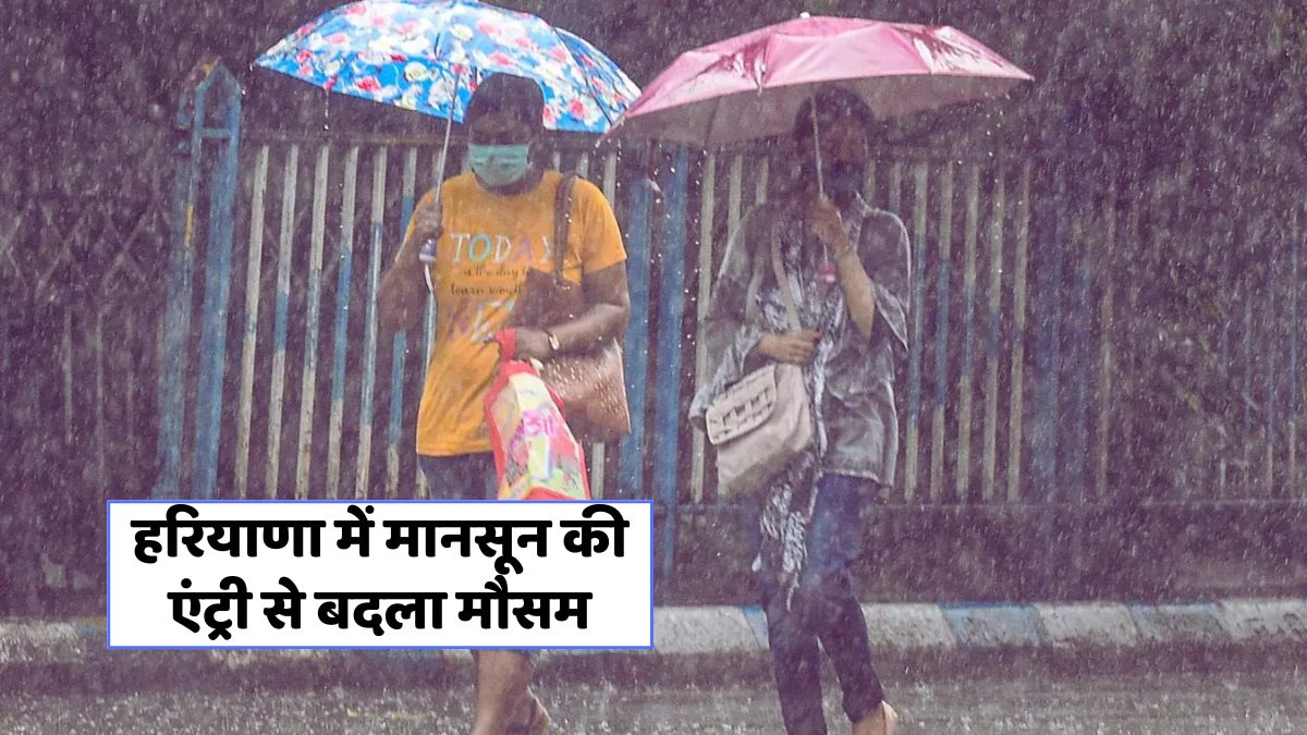 Haryana Monsoon Alert 25 June 2025