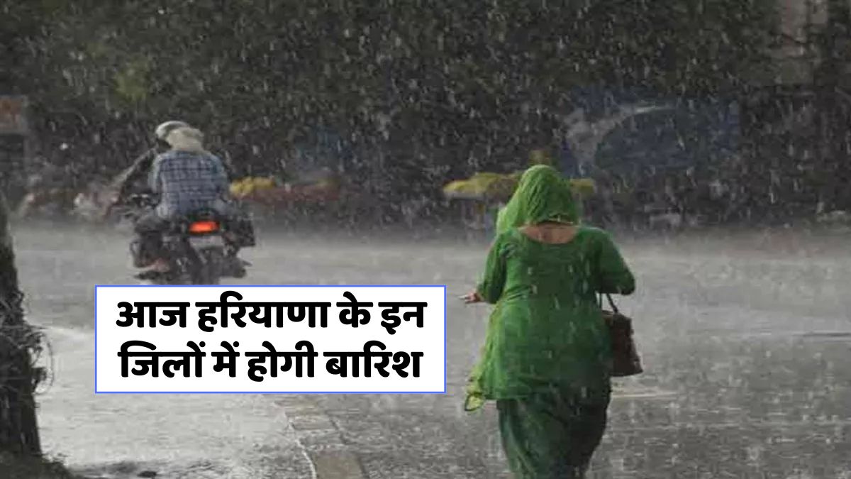 Haryana Monsoon Update