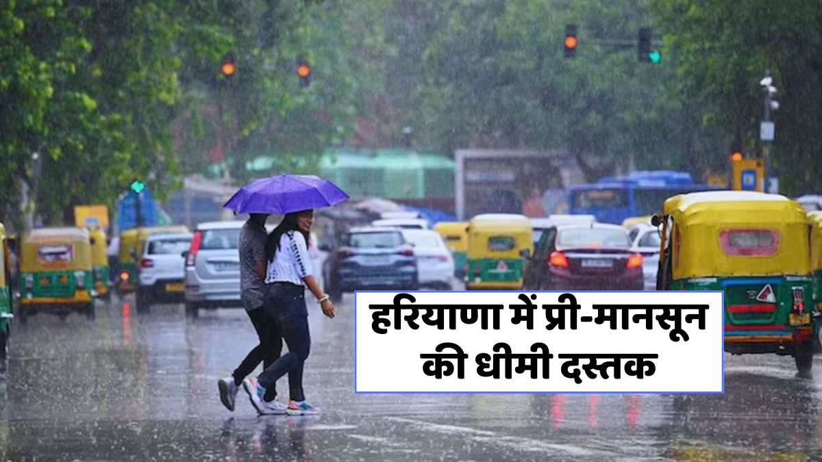 Haryana Rain Forecast 23 June 2025