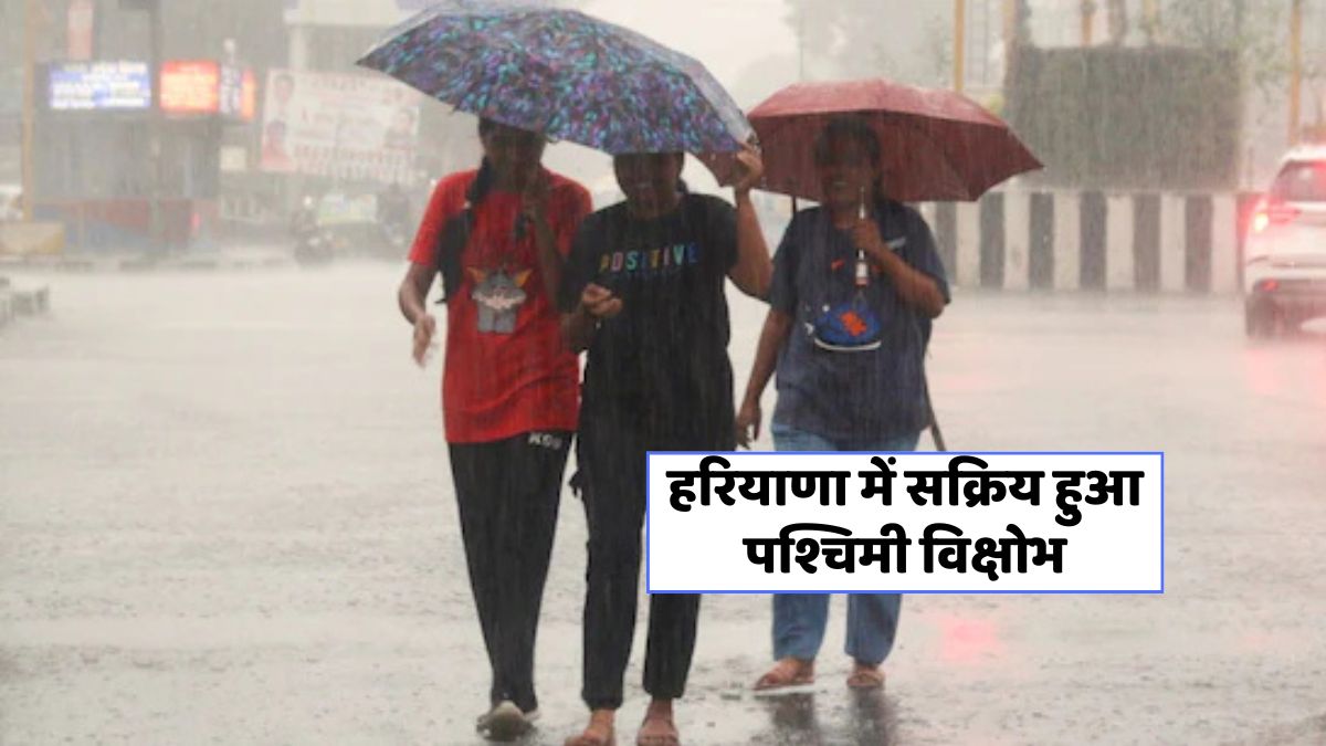 Haryana Weather 3 june