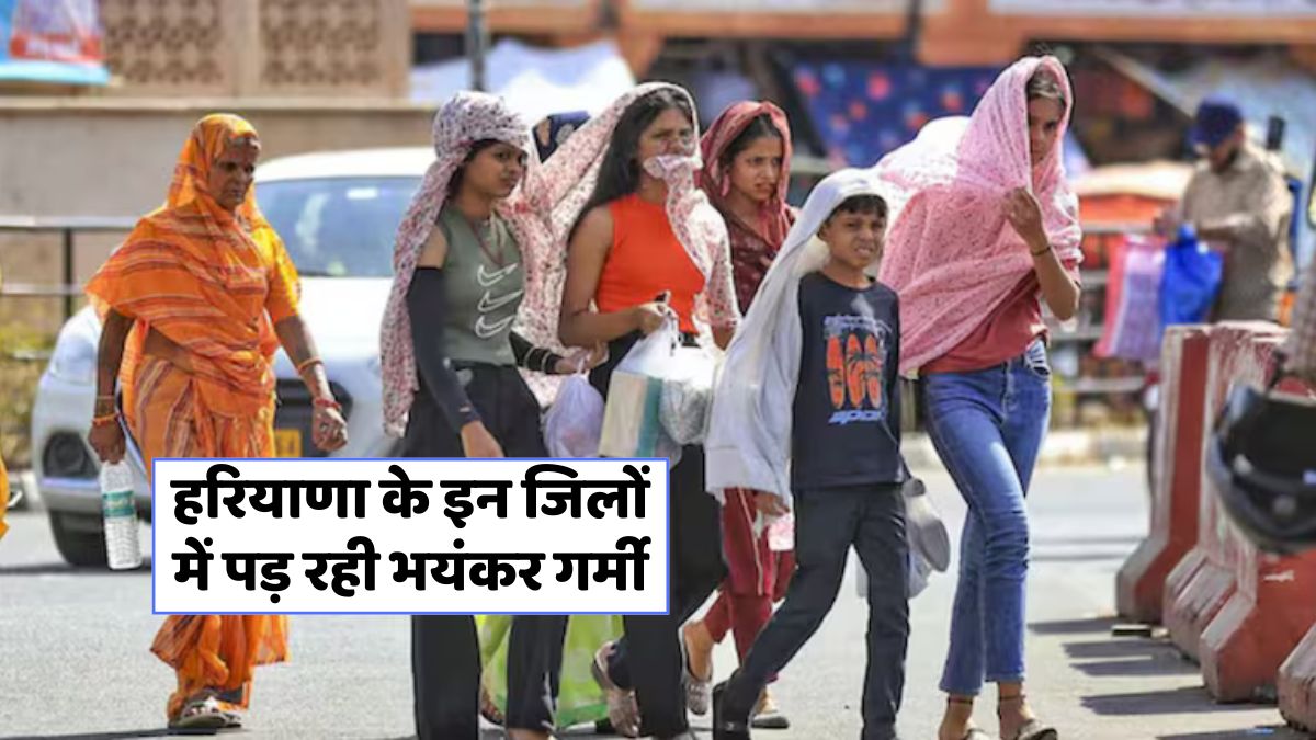 Haryana Weather Alert 10 june