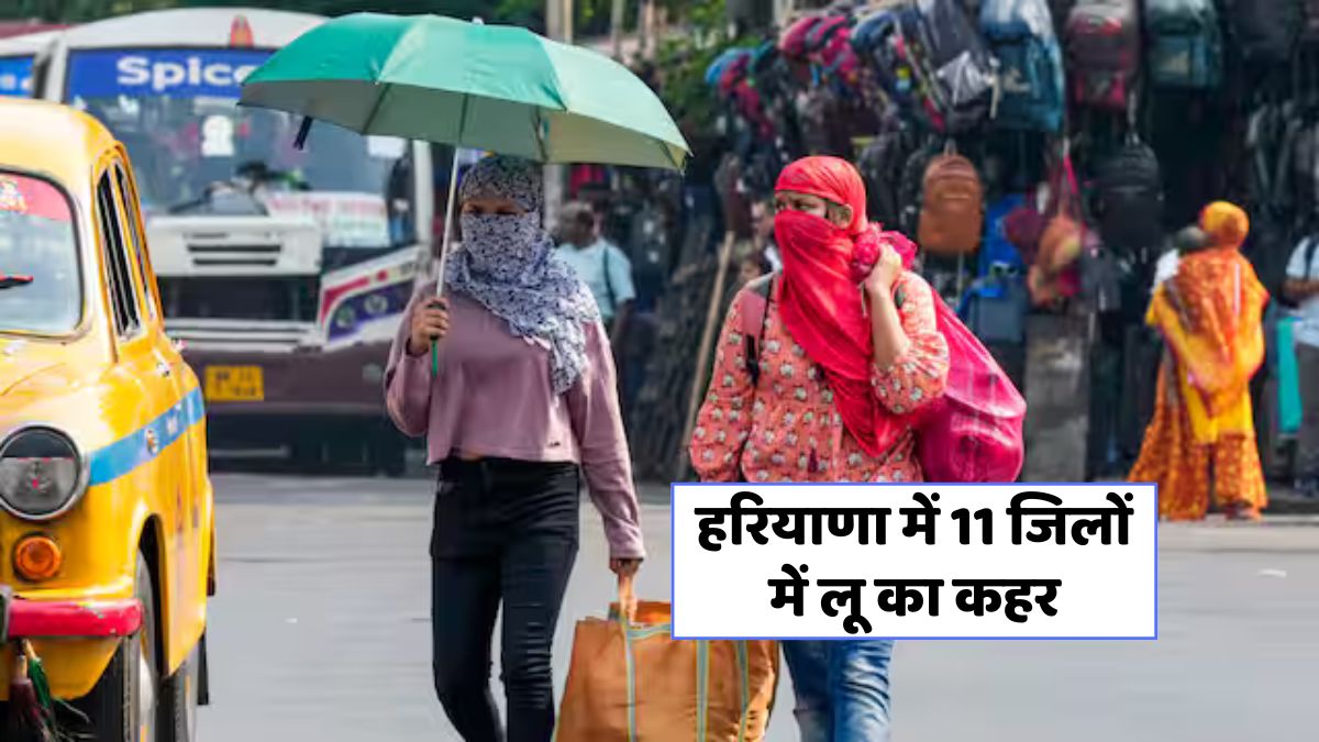 Haryana Weather Forecast (2)