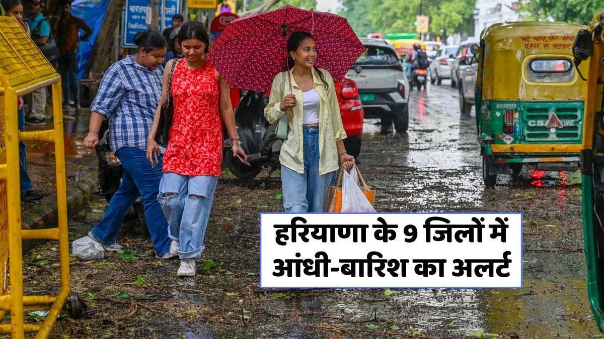 Haryana Weather Update 15 June 2025