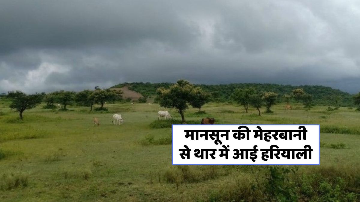 Rajasthan Monsoon Update