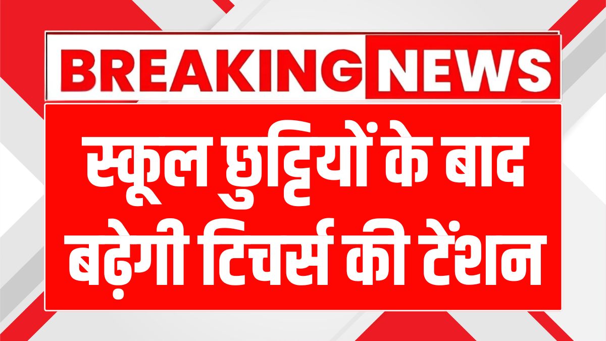 School Teacher Assessment