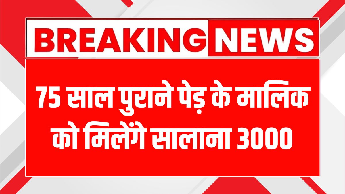 Tree Pension Scheme Haryana 2025