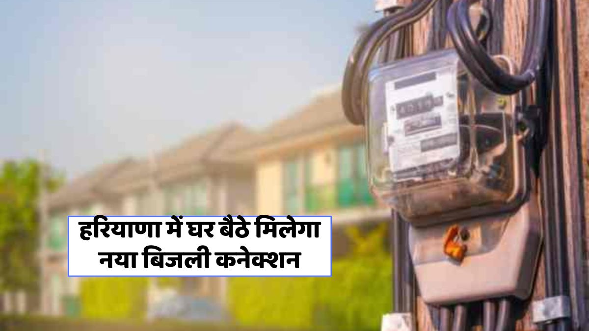 Haryana Electricity Connection