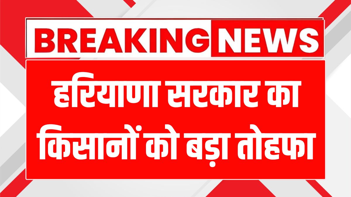 Haryana Sunflower Purchase