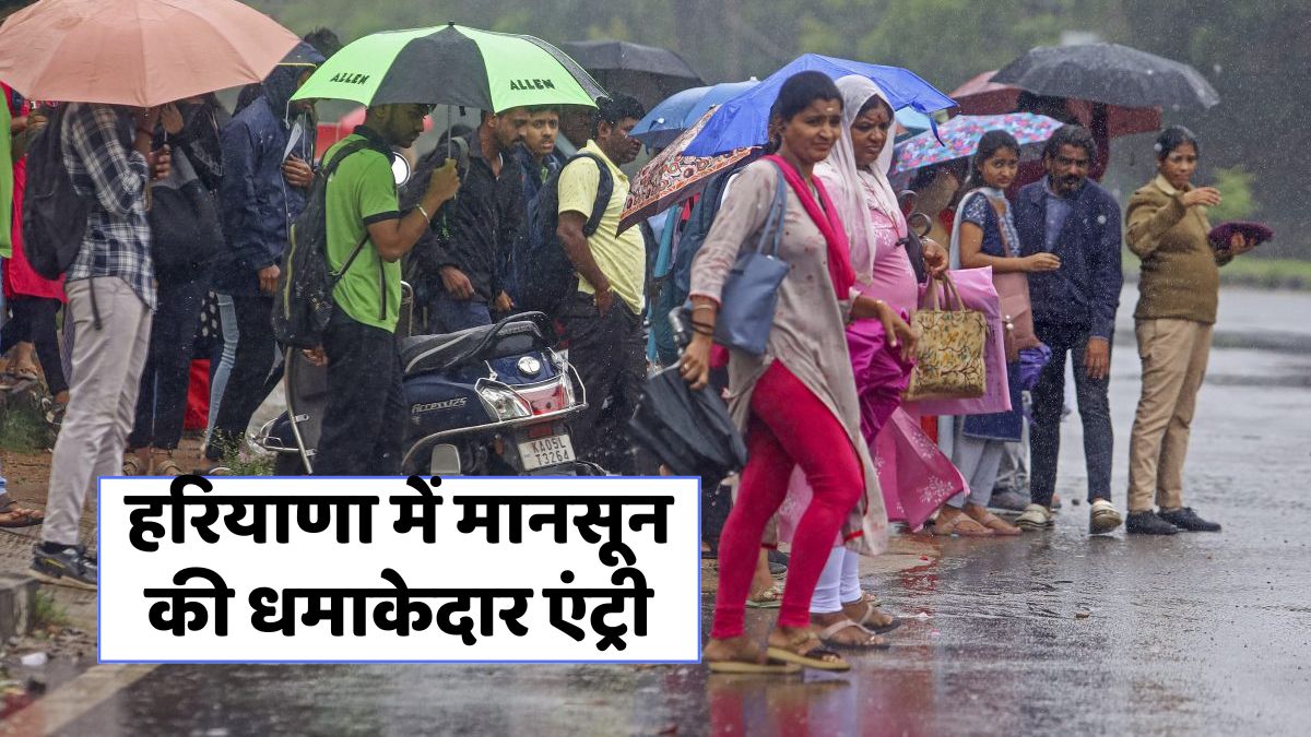haryana-rain-alert-july-2025